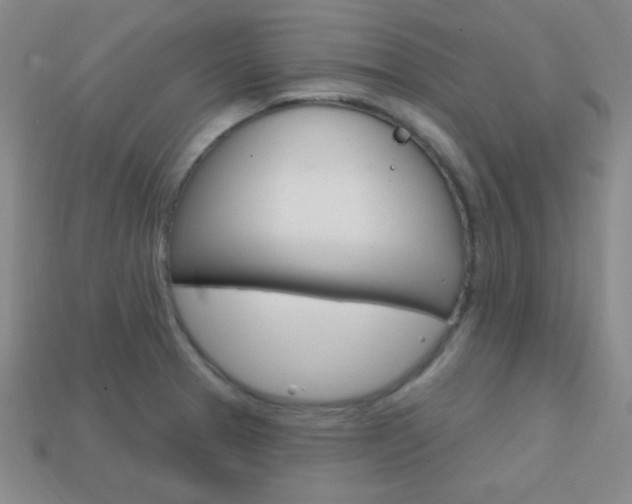 X0000114201329200910091040
