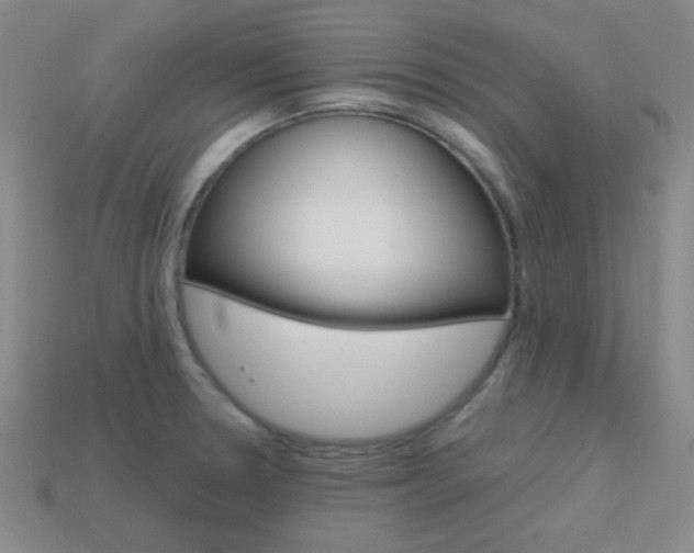 X0000114201330200910091040