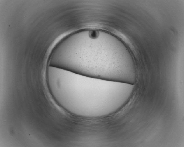 X0000114201331200910091040