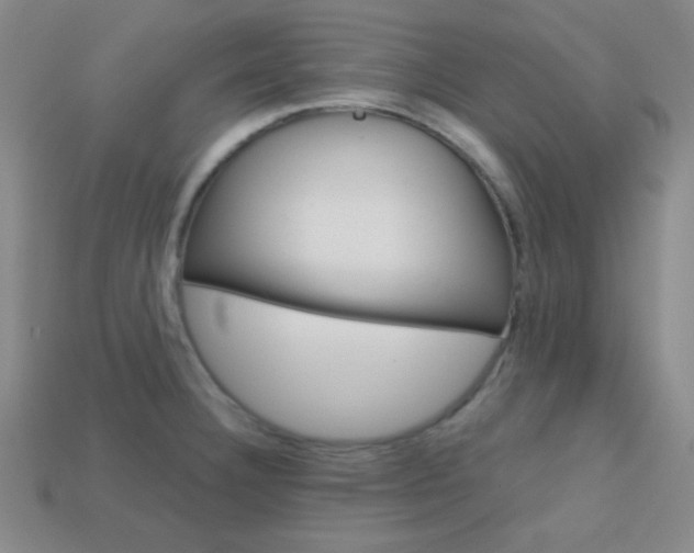 X0000114201332200910091041