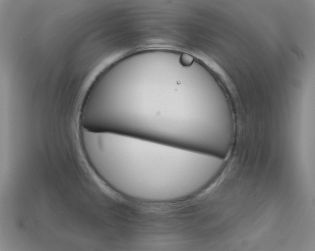 X0000114201333200910091041