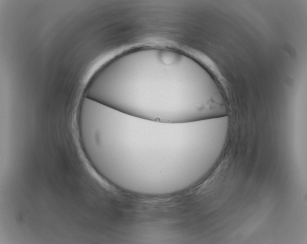 X0000114201335200910091041