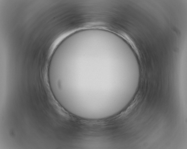 X0000114201336200910091041