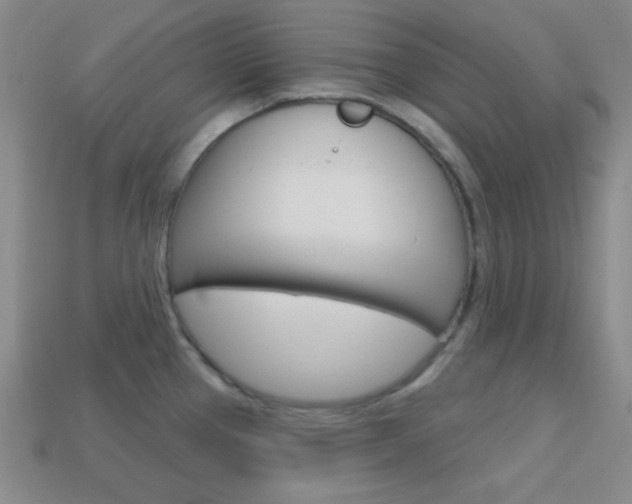X0000114201337200910091041