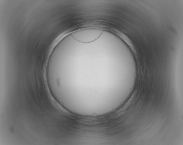 X0000114201338200910091041
