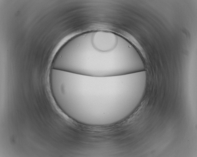 X0000114201339200910091041
