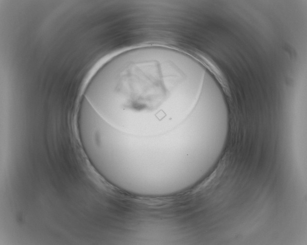X0000114201340200910091041