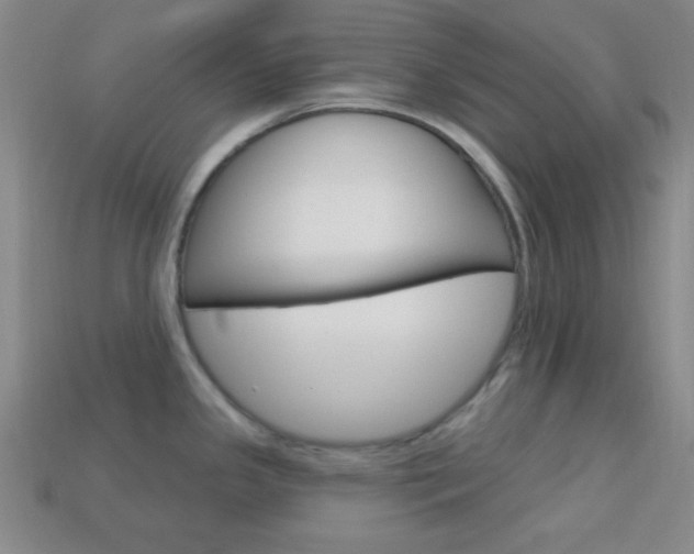 X0000114201341200910091041