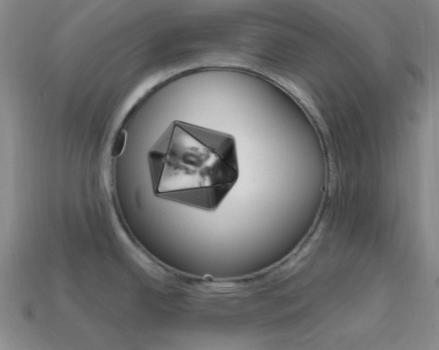X0000114201342200910091041