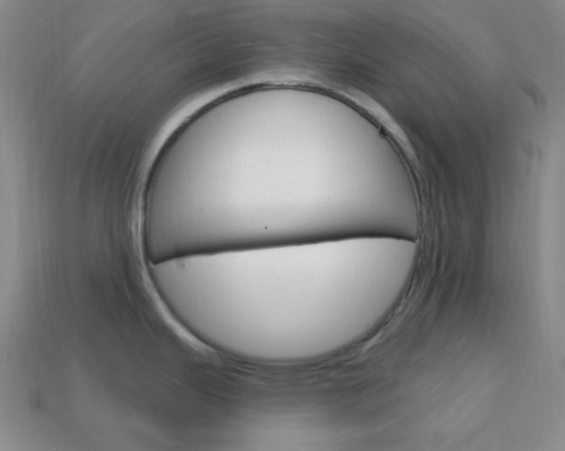 X0000114201343200910091041