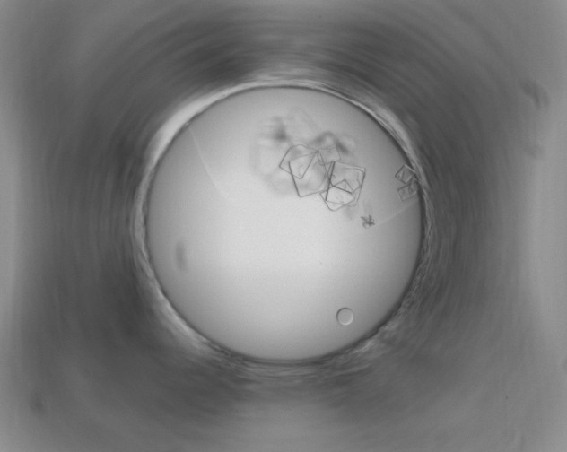 X0000114201344200910091041