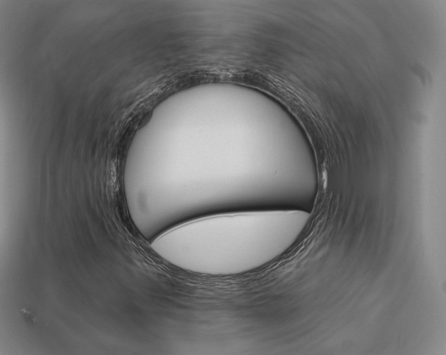 X0000114201347200910091040