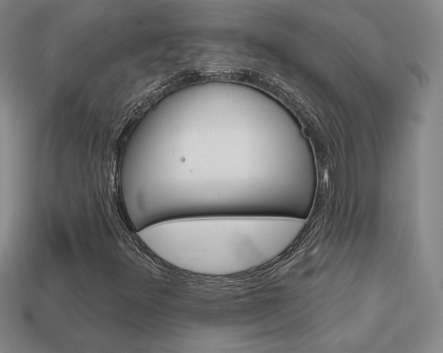 X0000114201348200910091040