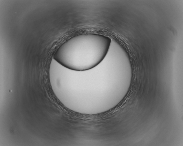 X0000114201349200910091040