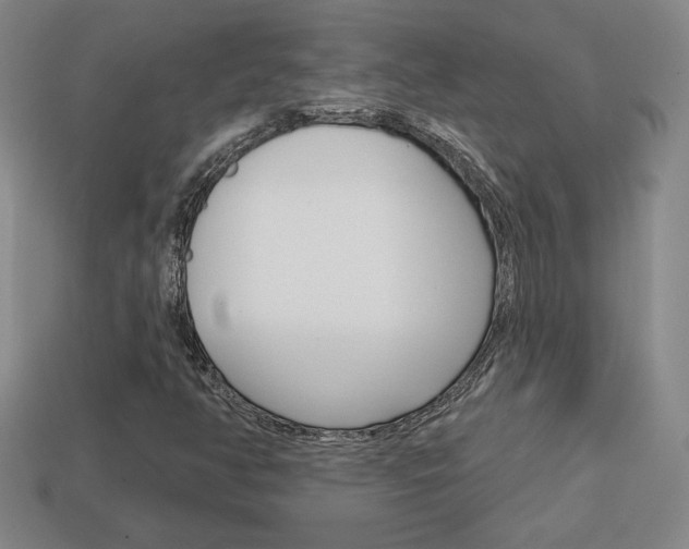 X0000114201350200910091040
