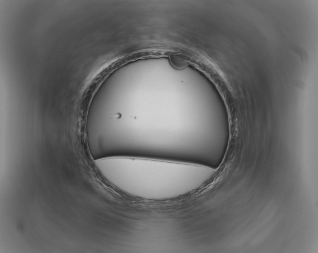 X0000114201352200910091040