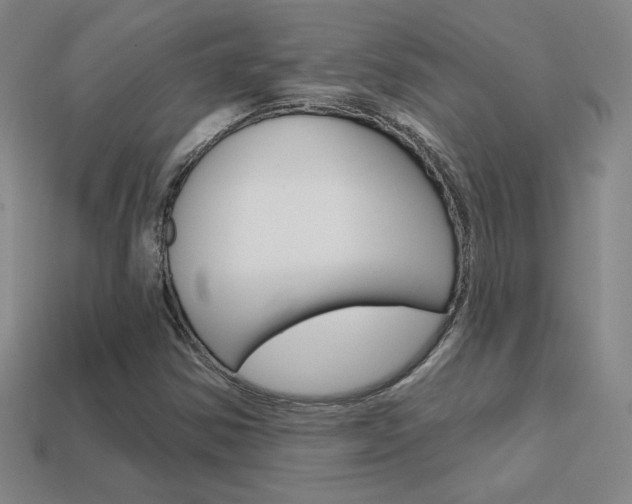 X0000114201354200910091040