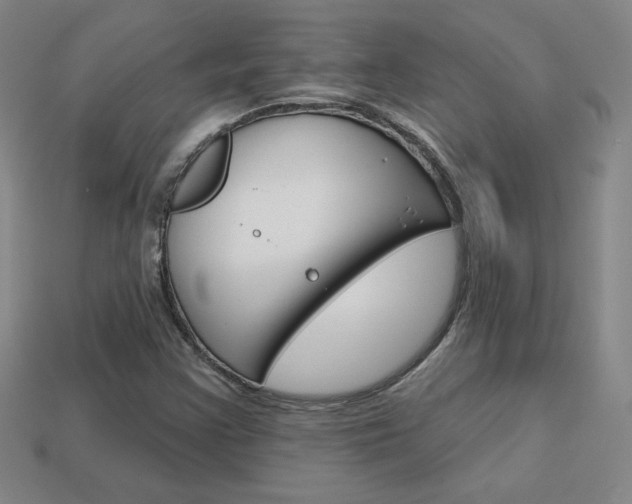 X0000114201355200910091040