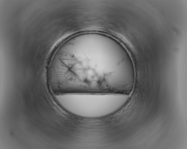 X0000114201356200910091040