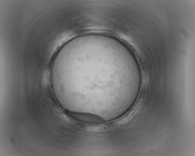 X0000114201357200910091040