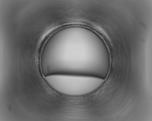 X0000114201360200910091040