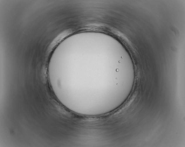 X0000114201362200910091040