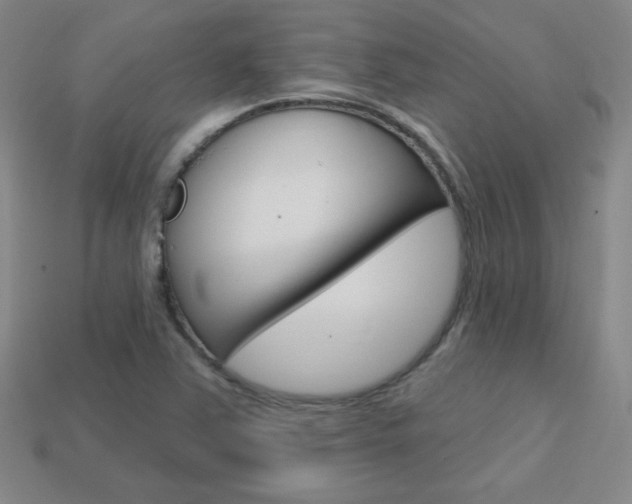 X0000114201363200910091040