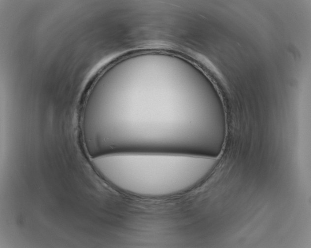 X0000114201364200910091040