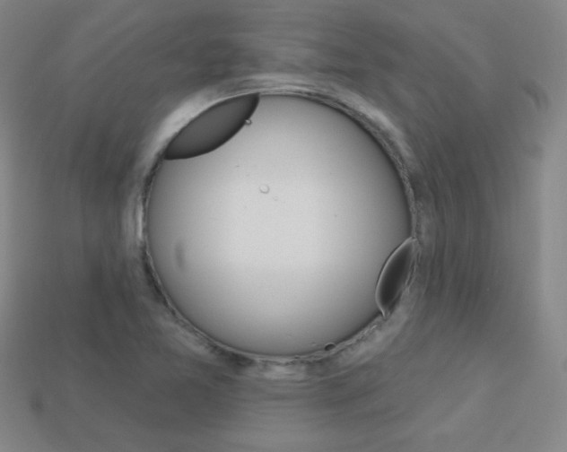 X0000114201365200910091040