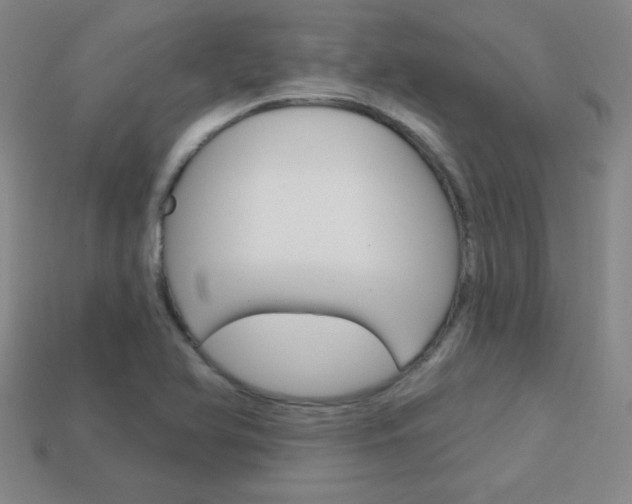 X0000114201366200910091040