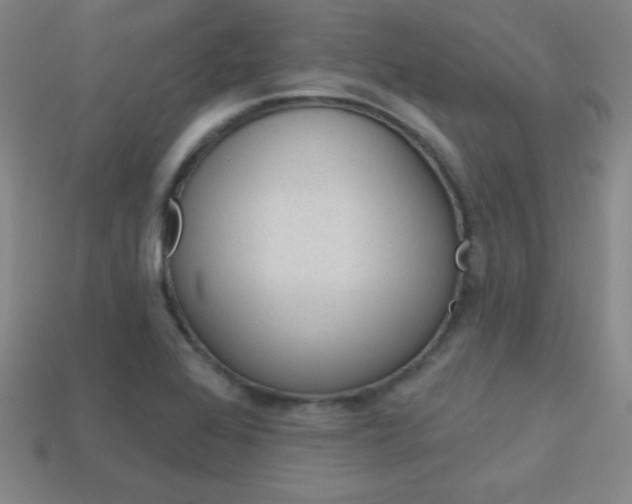X0000114201368200910091040