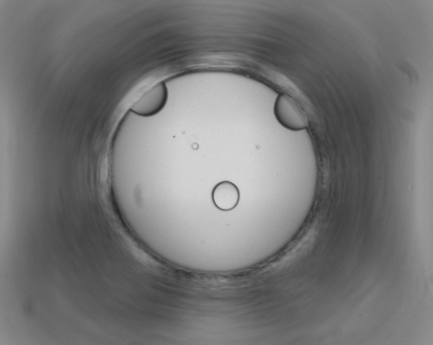 X0000114201370200910091040
