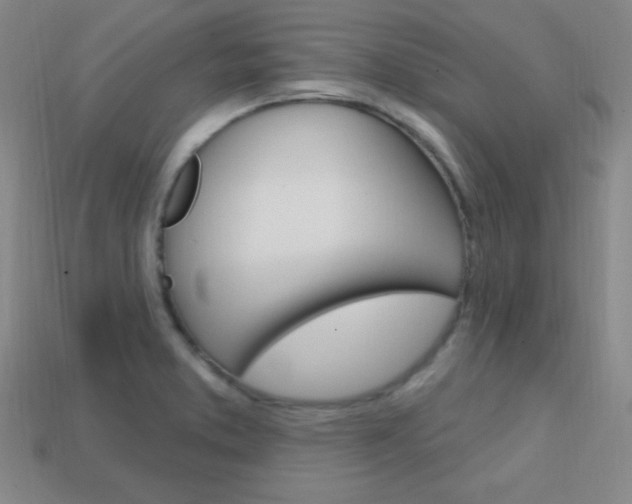X0000114201373200910091040