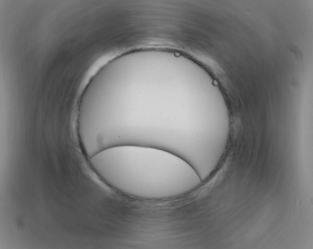 X0000114201374200910091040