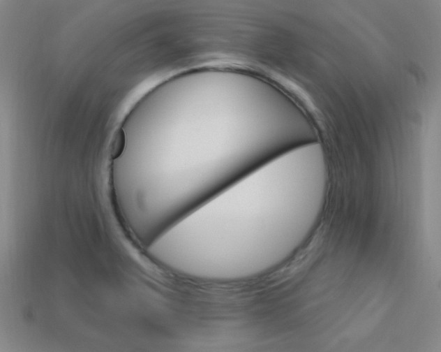 X0000114201375200910091040