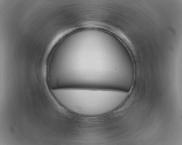 X0000114201376200910091040