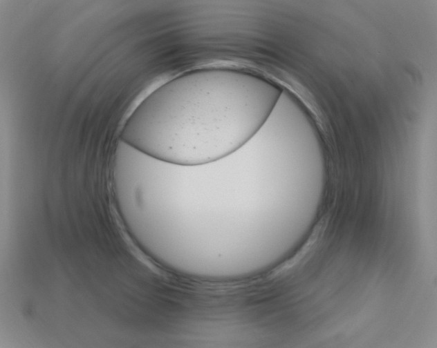 X0000114201377200910091040