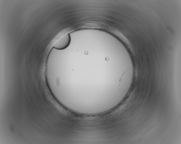 X0000114201378200910091040