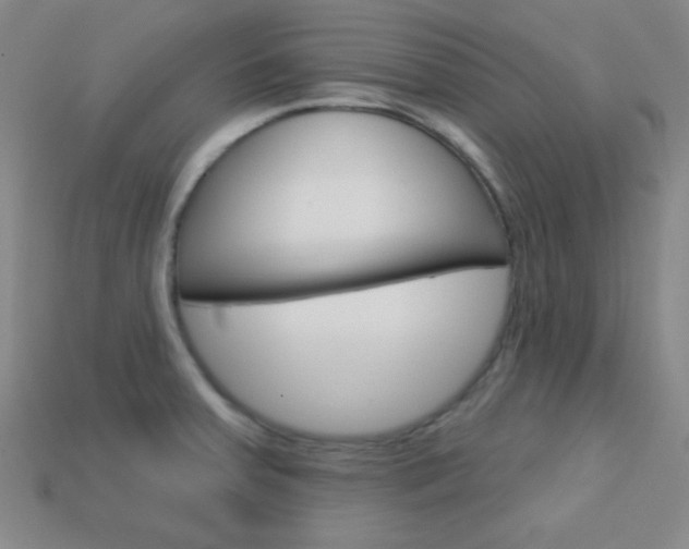 X0000114201379200910091040