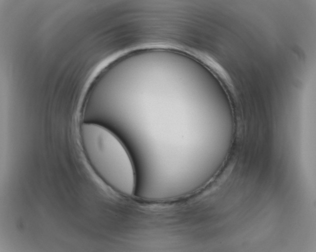 X0000114201380200910091040