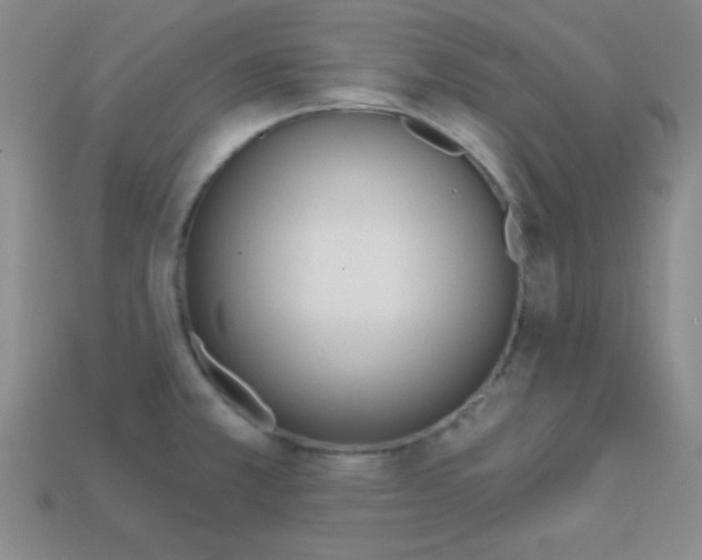 X0000114201381200910091040