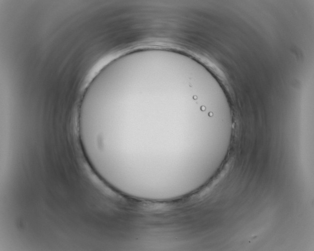X0000114201382200910091040