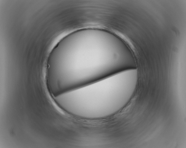 X0000114201383200910091040