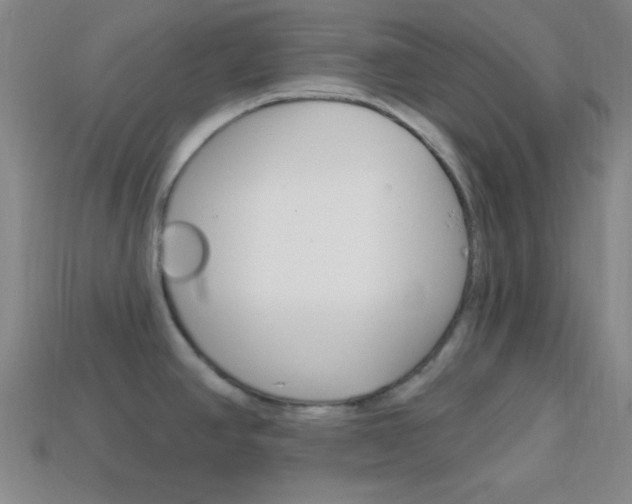 X0000114201390200910091039