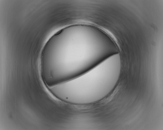 X0000114201391200910091039