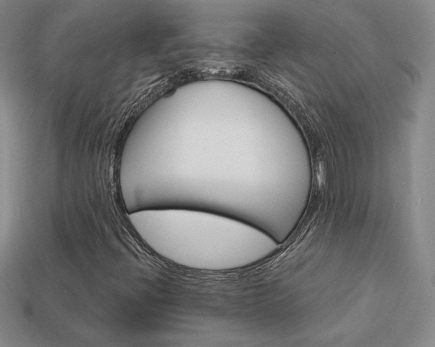 X0000114201396200910091039