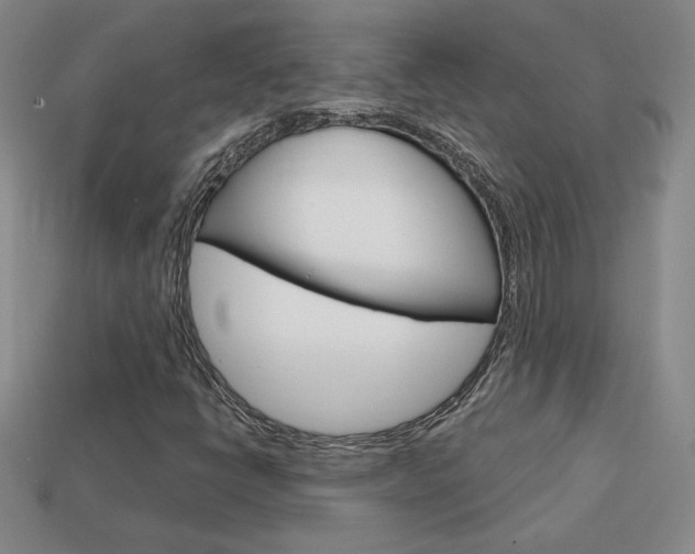 X0000114201398200910091039