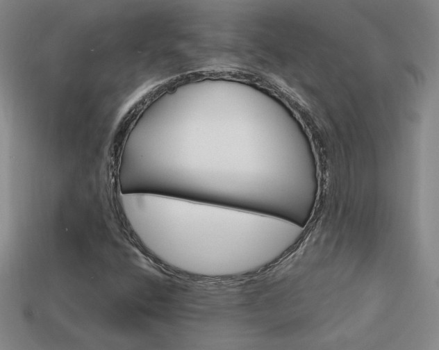 X0000114201400200910091039