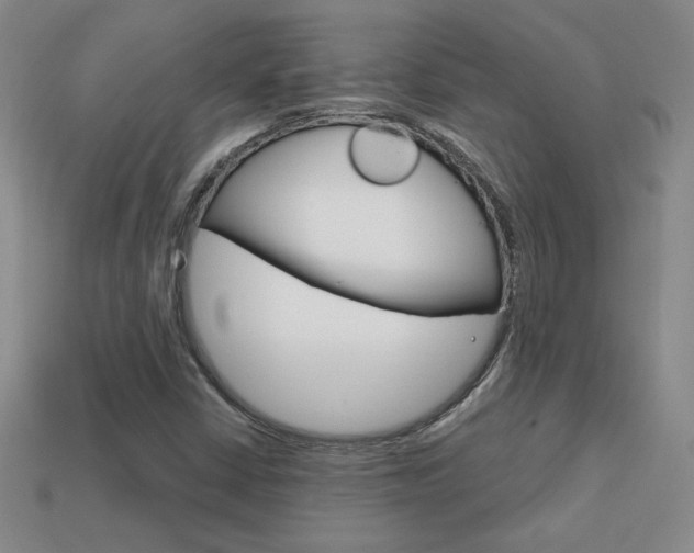 X0000114201402200910091039