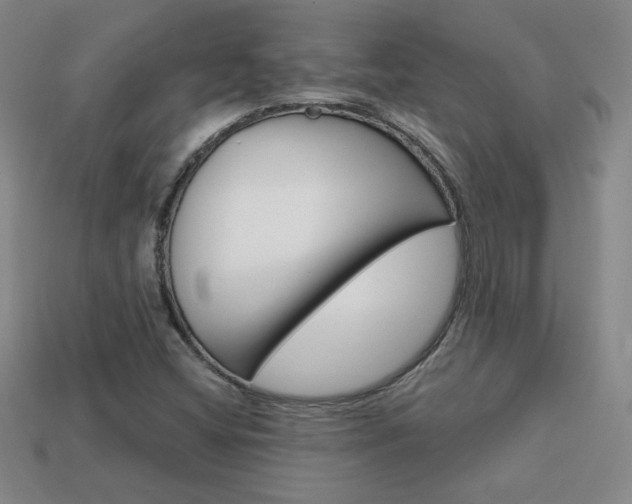 X0000114201404200910091039